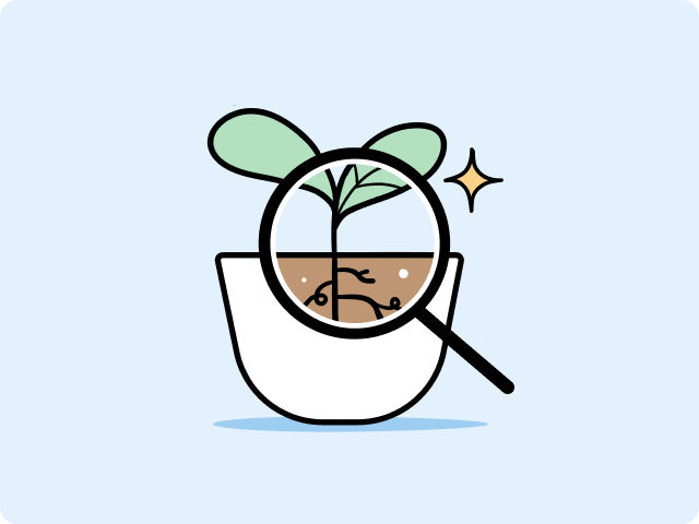 Inspecting the budding plant for what it needs for growth