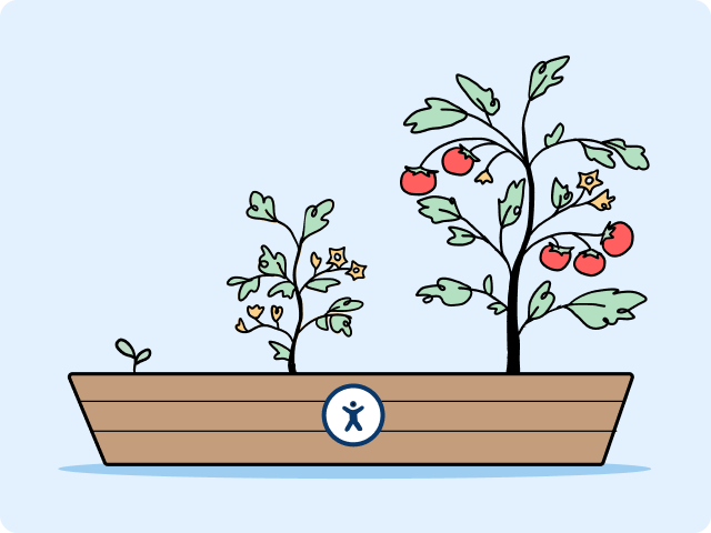 Accessibility garden with plant at 3 levels of maturity